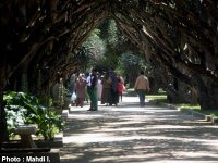 Les Algérois investissent les lieux Après le réaménagement des jardins publics et espaces verts