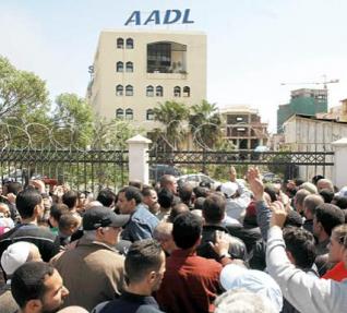 المقصون من برنامج 