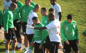 معسكر  الخضر  ينطلق اليوم وحاليلوزيتش لم يفقد الأمل                                    الفريق الوطني