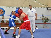Coup d'envoi à Blida de la coupe d'Algérie militaire de boxe