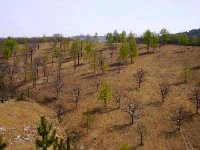 L'Algérie, pays pionnier dans la lutte contre la désertification (CNULCD)