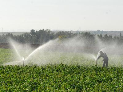 Pour une meilleure rentabilité en céréaliculture                                    Signature d'une convention pour l'acquisition d'équipements d'irrigation