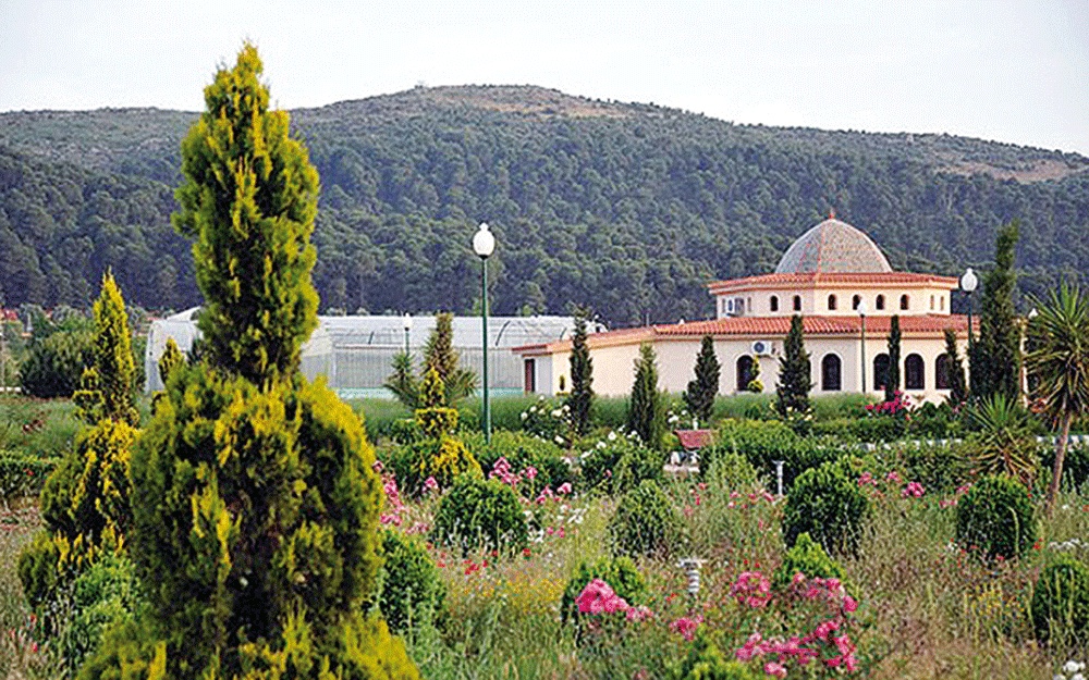 Tlemcen : L’écotourisme reste à développer