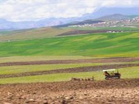 Une commission mixte pour enquêter sur l'exploitation du foncier agricole à Ouled Moussa (Boumerdès)