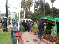 5e édition des floralies d'Oran : les élèves des beaux-arts à pied-d uvre