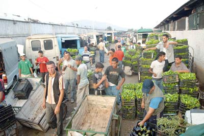 Vers une meilleure réglementation                                    Marchés de gros, voitures d'occasion et hypermarchés