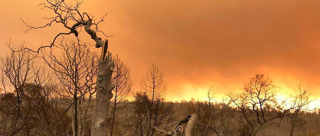 Planète - Incendies en Californie: le bilan grimpe à 87 morts