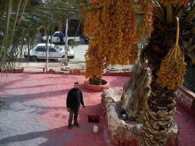 Artiste Artisan Maçon Sculpture