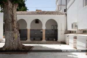 Sidi Brahim al Masmoudi dit Ibrahim ben Mohammed El-Masmoudy (269)