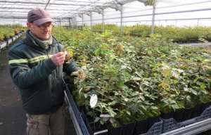 Planète (France) - COP 24: Nos forêts subissent déjà le réchauffement climatique