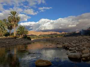 M'chouneche, Biskra... !