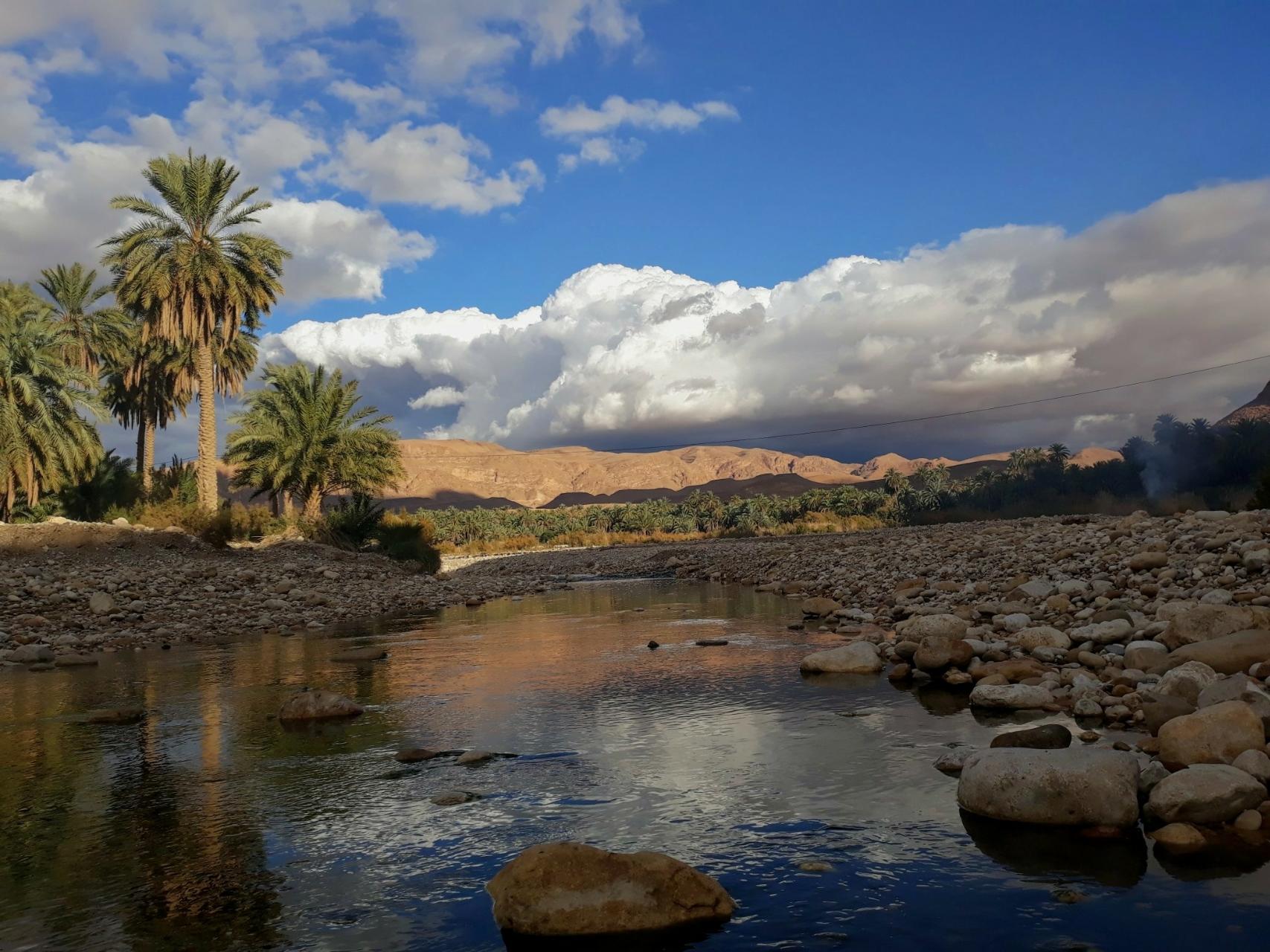 M'chouneche, Biskra... !