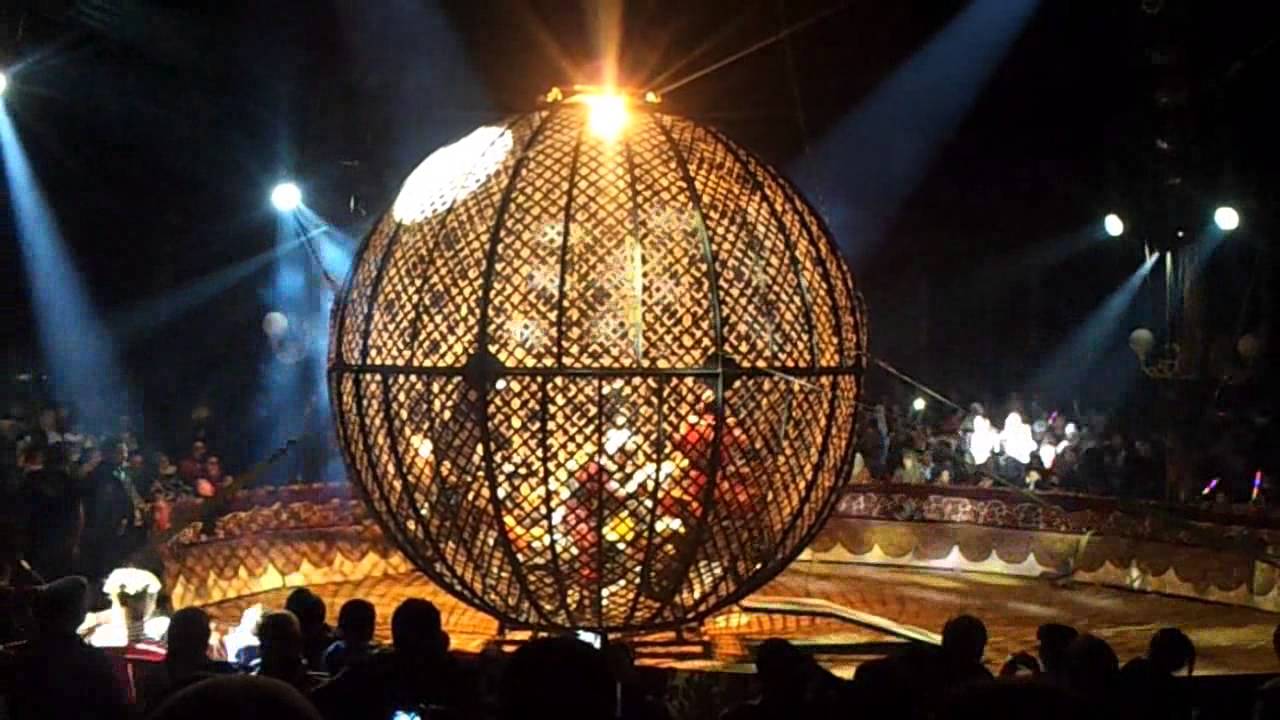 Tlemcen: Le cirque de retour