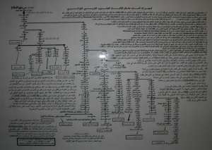الشجرة العائلية لبعض القبائل المعروفة في الجنوب و الغرب الجزائري