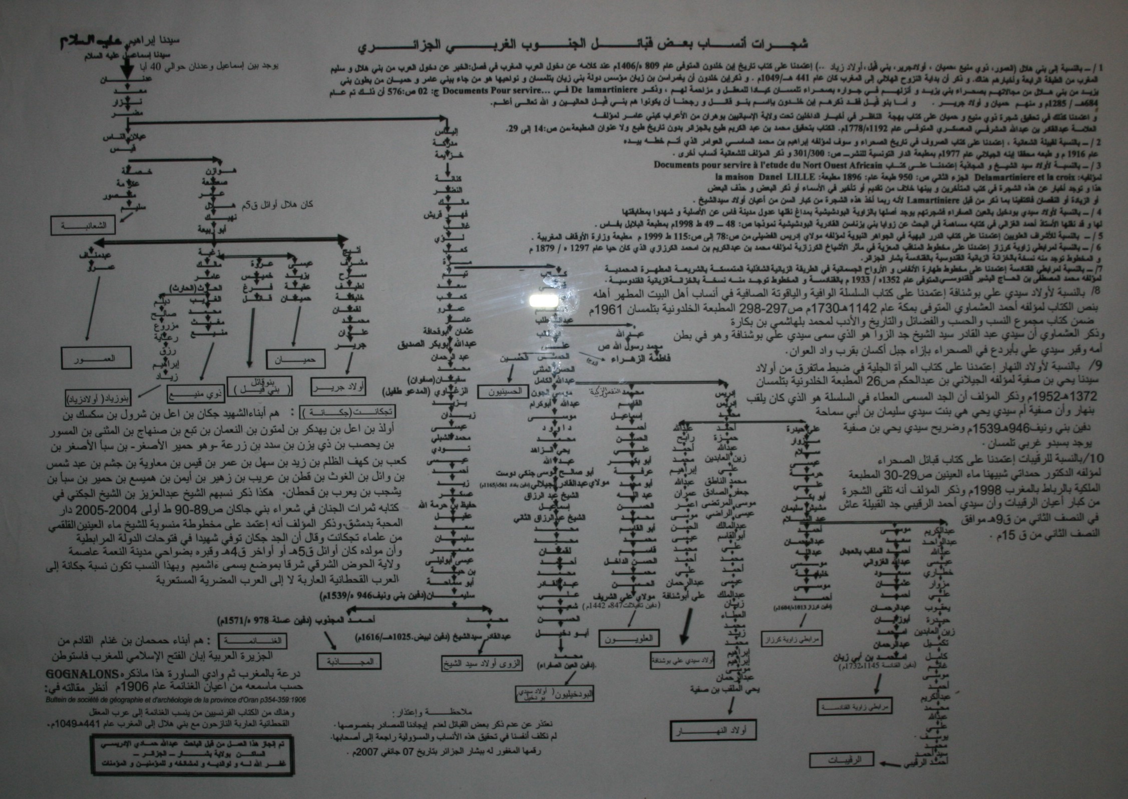 الشجرة العائلية لبعض القبائل المعروفة في الجنوب و الغرب الجزائري