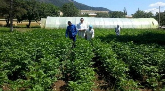 Impératif de développer l’insertion professionnelle dans le domaine agricole