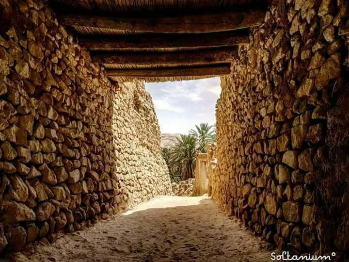 Ksours Negrine de Tébessa : Un patrimoine matériel témoin du génie architectural local.... !