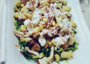 سلطه الدجاج والصوص