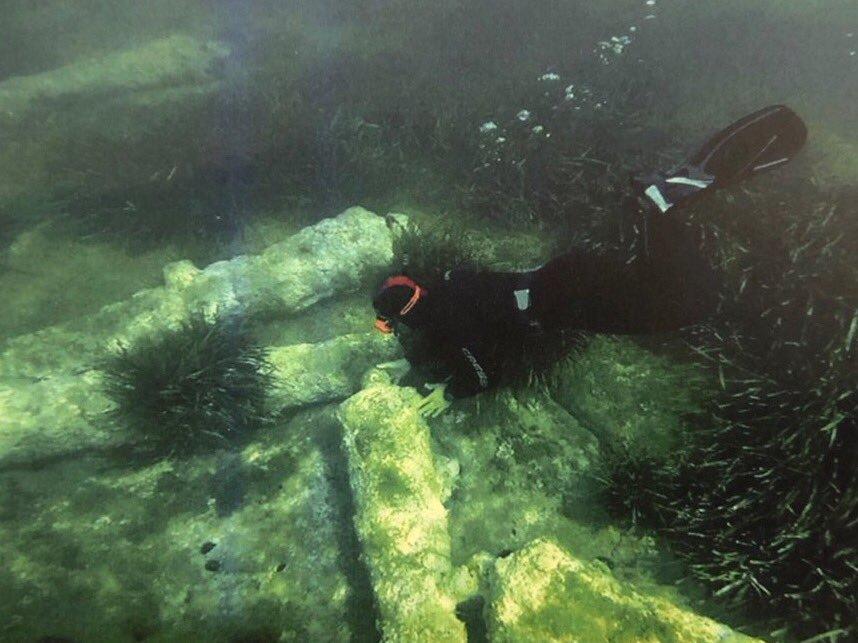 El Hamdania, Cherchell - Tipaza... !