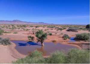 Les steppes Algériennes...!