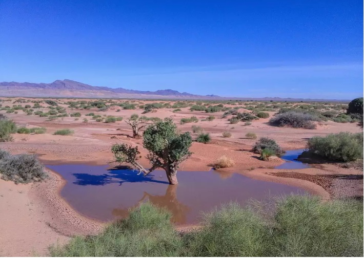 Les steppes Algériennes...!