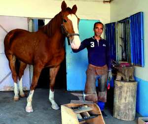 Portrait. Riad Ghadab , maréchal-ferrant à Skikda: «Pour l’amour des chevaux»