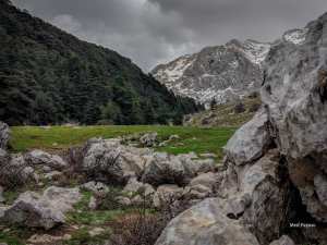 Tala Guilef;  la vallée du sanglier
