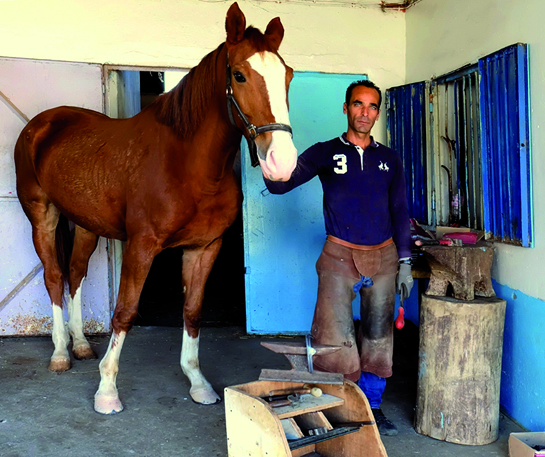 Portrait. Riad Ghadab , maréchal-ferrant à Skikda: «Pour l’amour des chevaux»
