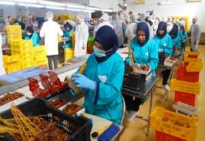 Conditionnement et exportation des dattes à Biskra: Des unités ultramodernes ont été réalisées