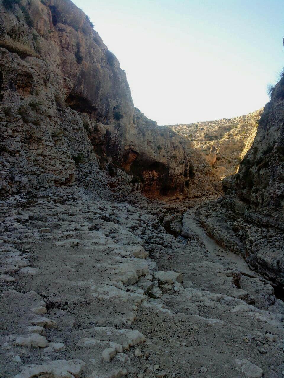 Tébessa: découverte de nouveaux sites archéologiques dans la région de 