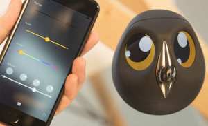 Ulo, une caméra connectée vraiment chouette