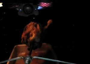 فراخ بالأرز والبصل مشوية تحفة