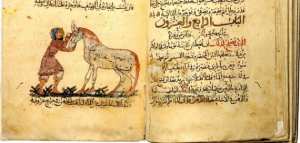 نشأة الشعر الجاهلي و غنائيته