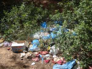 عملية جمع النفايات بغابات تلا قيلاف