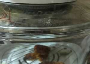 صدور دجاج مشوية