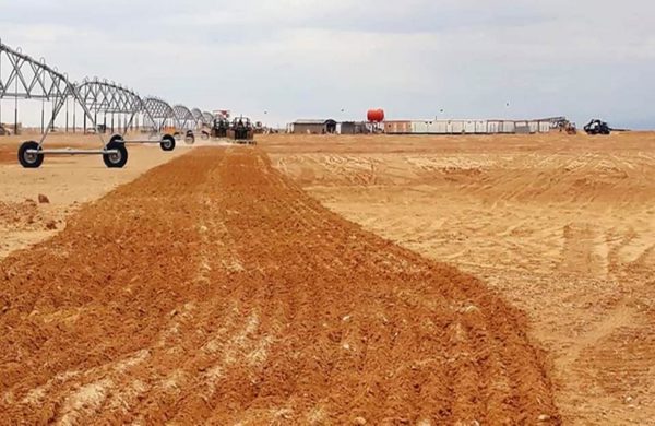 Implanté au sud de Khenchela: Le projet «Cosider Agrico» avance à grands pas