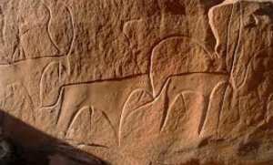 Gravures rupestres de Taghit: le schéma de protection des stations en voie de finalisation