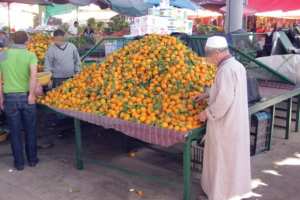 PRODUCTION DES AGRUMES À GUELMA:  Les étals inondés