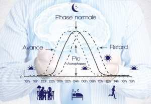 Photothérapie et horloge biologique du sommeil