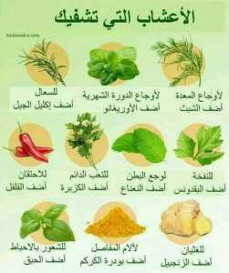 العلاج بالأعشاب