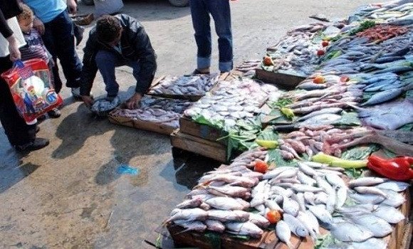 قطاع الصيد البحري بولاية تلمسان: تسجيل أفضل إنتاج للعشرية الأخيرة