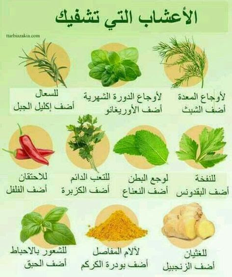 العلاج بالأعشاب