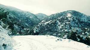 Lettre ouverte a Monsieur le Wali de Tizi Ouzou