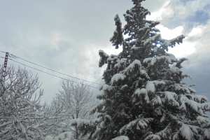 Algérie - L’hiver s’installe: Pluie et grand froid sur plusieurs régions