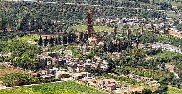 TLEMCEN -  Projet d'une «Route de l'olivier» pour développer le tourisme rural