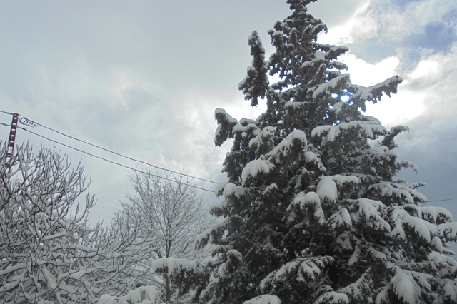 Algérie - L’hiver s’installe: Pluie et grand froid sur plusieurs régions