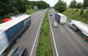 Planète - Mexique: Des écoponts pour protéger les animaux sauvages qui traversent l'autoroute