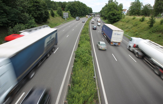 Planète - Mexique: Des écoponts pour protéger les animaux sauvages qui traversent l'autoroute