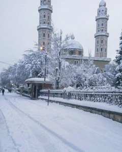 كل شيئ يرحل .... إلا الخير