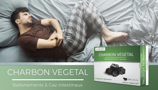 CARBONET  Charbon Végétal